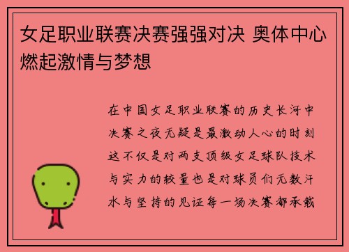 女足职业联赛决赛强强对决 奥体中心燃起激情与梦想