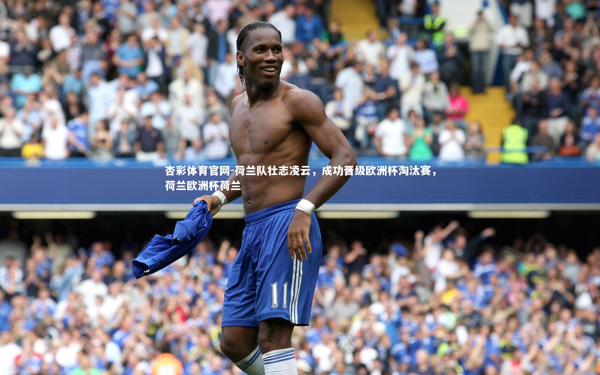 杏彩体育官网-荷兰队壮志凌云，成功晋级欧洲杯淘汰赛，荷兰欧洲杯荷兰