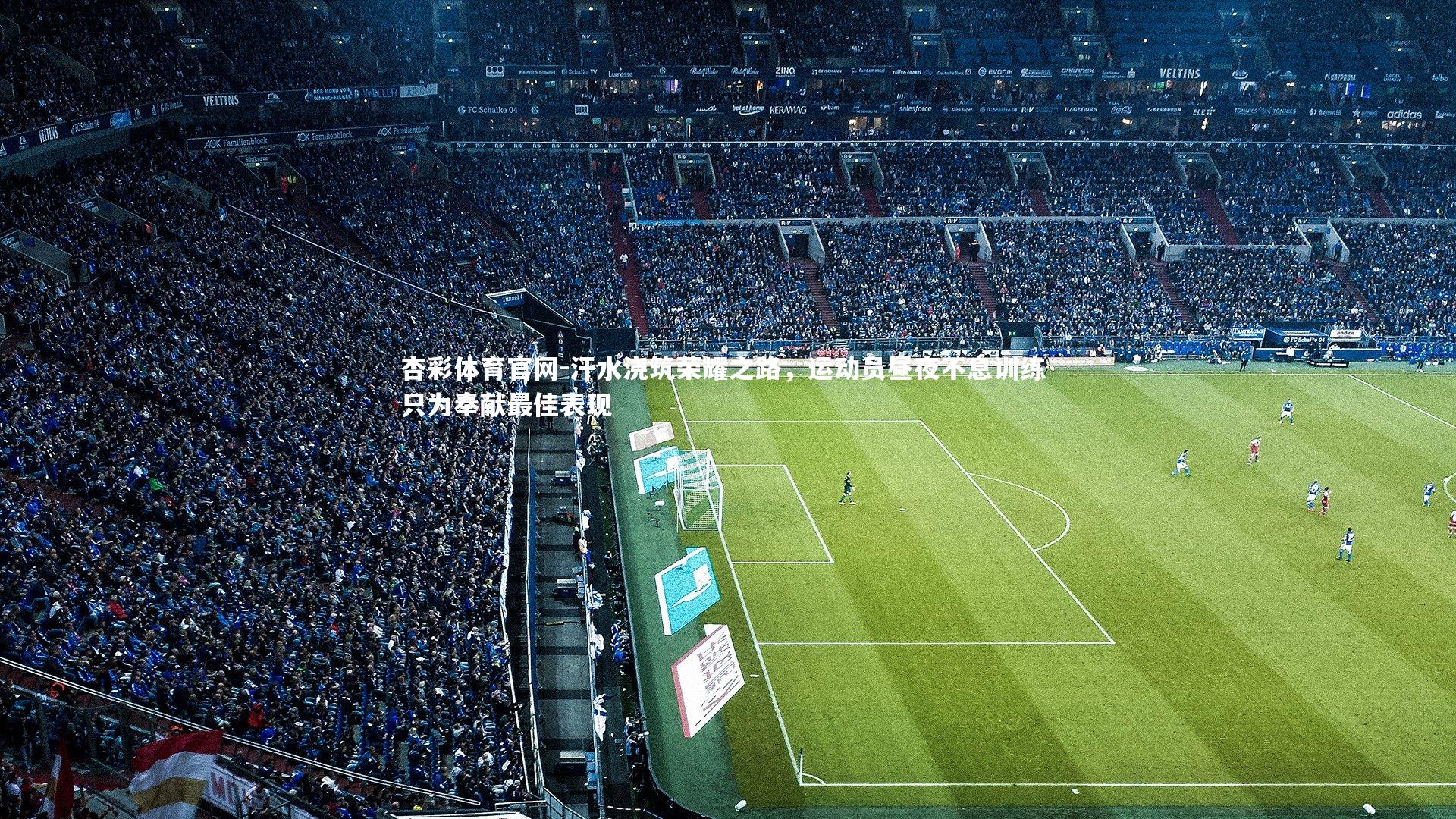 汗水浇筑荣耀之路,运动员昼夜不息训练 只为奉献最佳表现